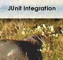 JUnit Integration